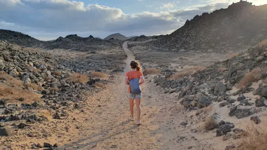 Wanderweg auf der Isla Lobos