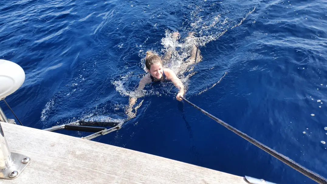 Merle schwimmt mitten im Atlantik