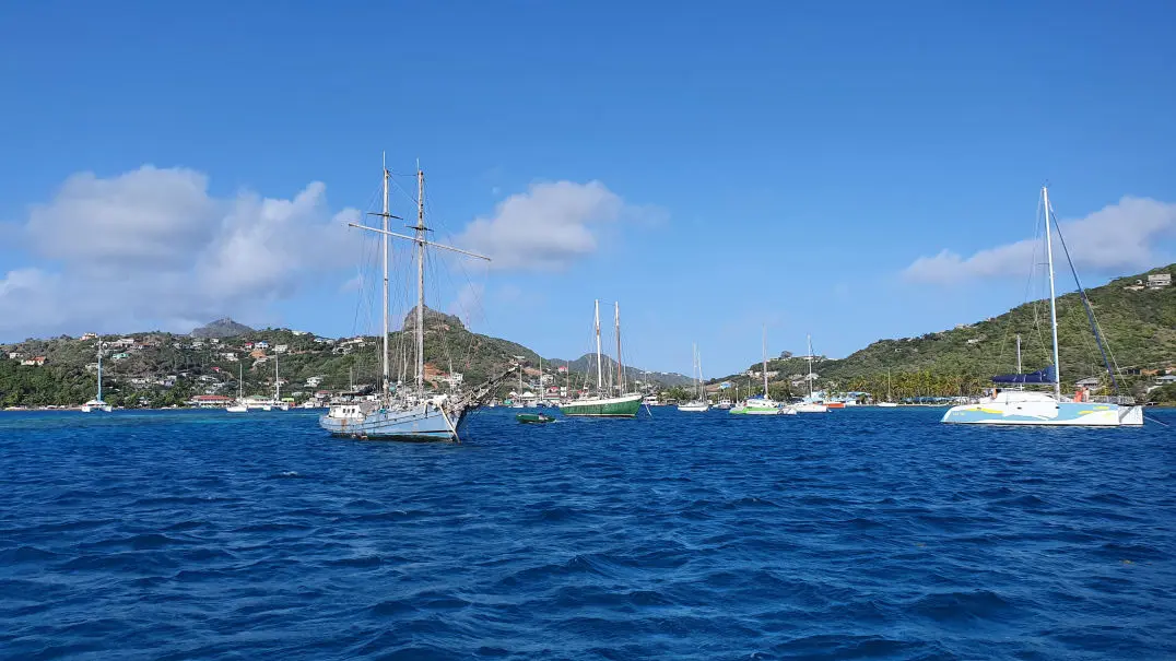 Bojenlieger in Clifton Harbour