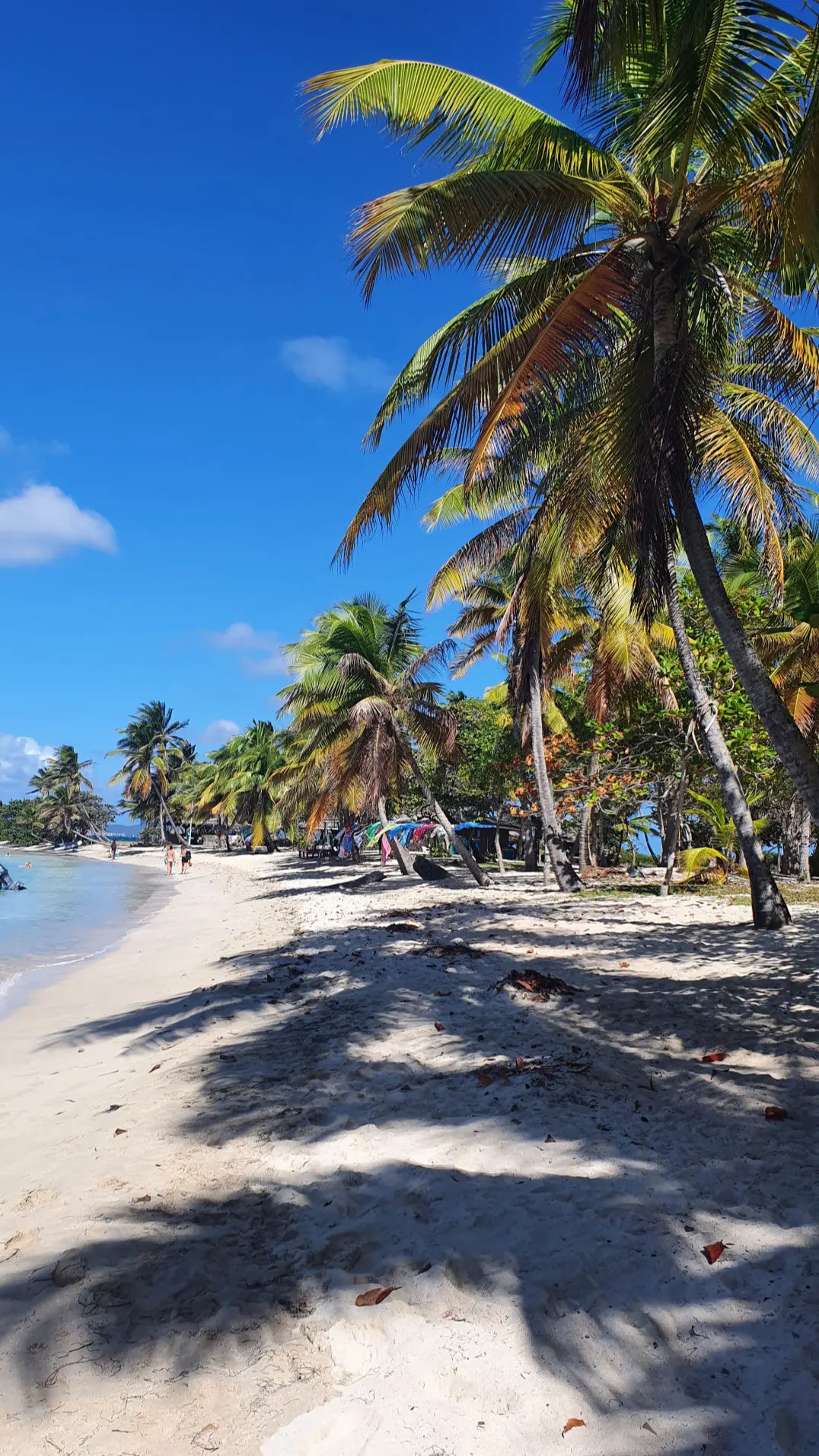 Strand in der Salt Whistle Bay