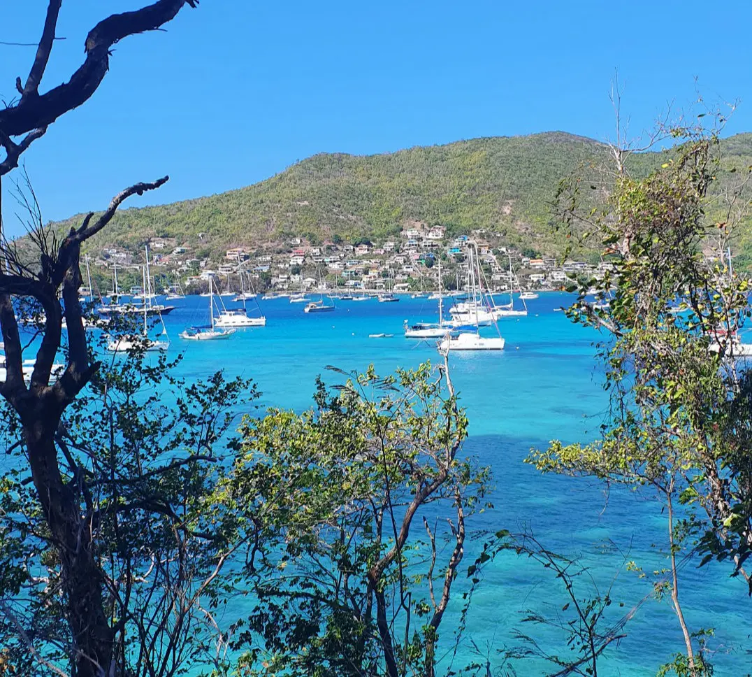 Blick auf Admiralty Bay vom Hügel