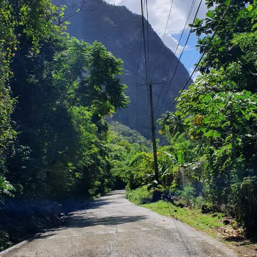 Heimweg entlang der Oberleitung