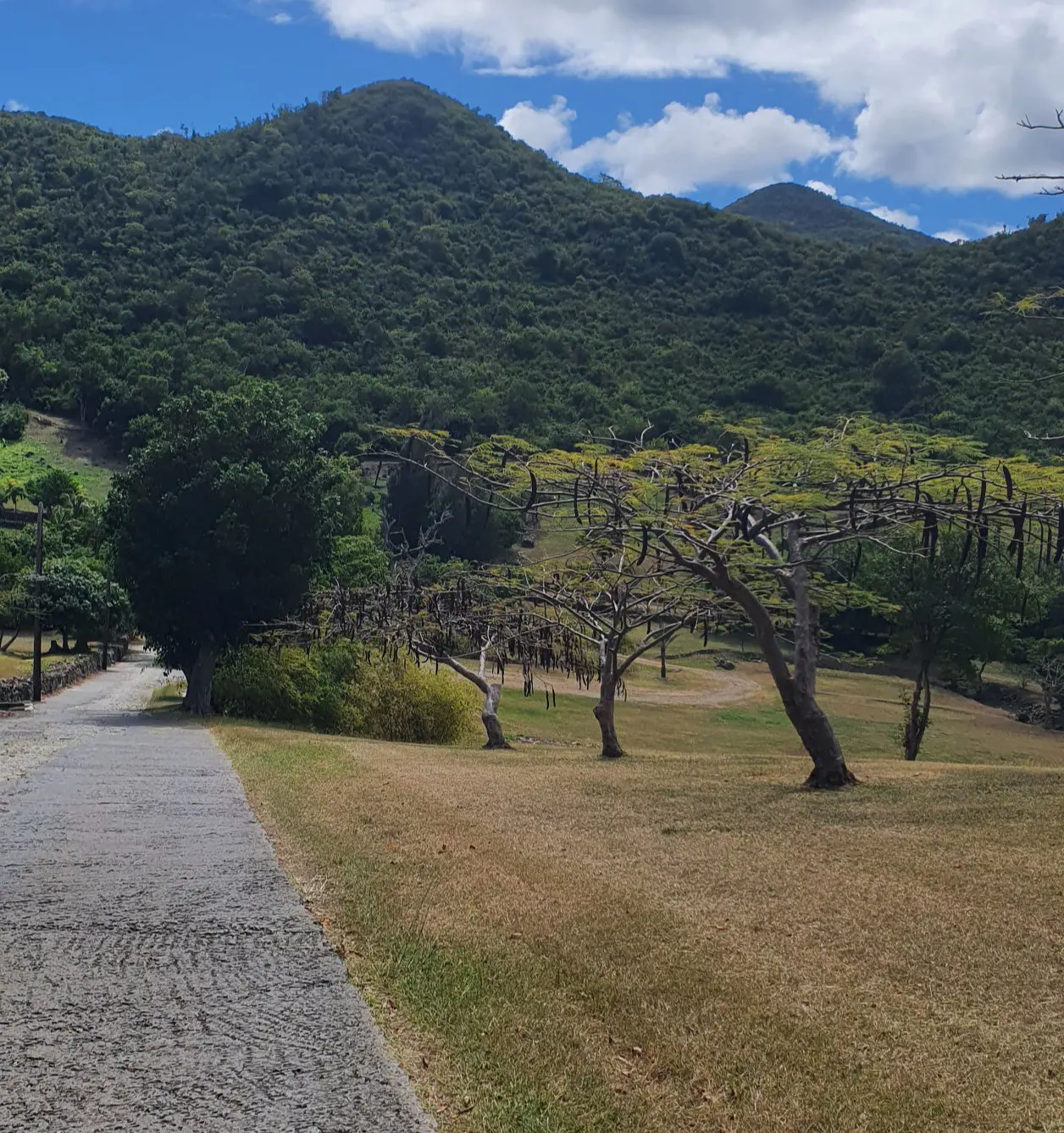 Zielgerade der Wanderung zur Zip Line