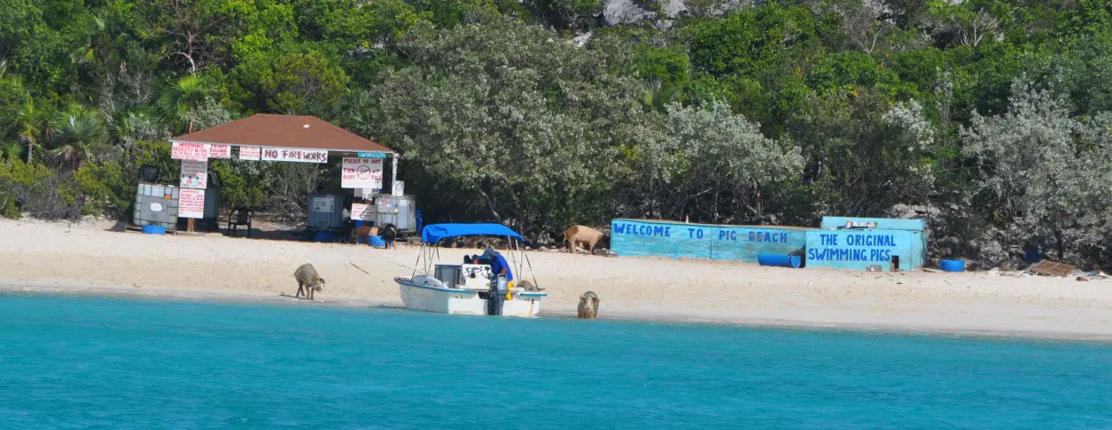 Auf dem Strand geht's langsam los