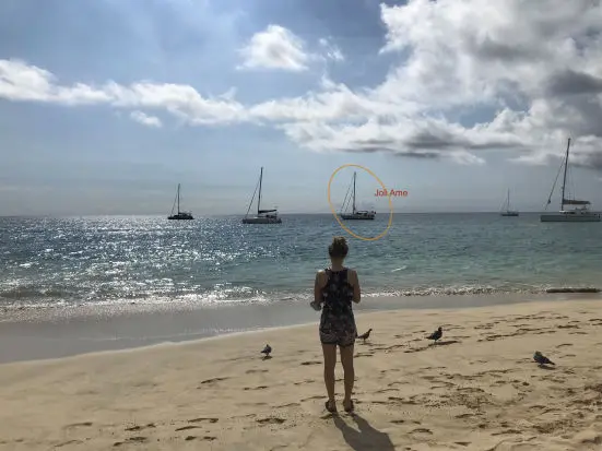 Merle auf dem Strand von Morro Jable